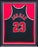 Chicago Bulls Michael Jordan Autographed Framed Black Nike Jersey UDA Holo #BAE60075