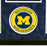 Aidan Hutchinson Signed Michigan Blue Custom Suede Matte Framed Football Jersey