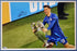 Mason Mount Autographed Framed 11x14 Photo Chelsea F.C. Beckett BAS Stock #197149 - RSA