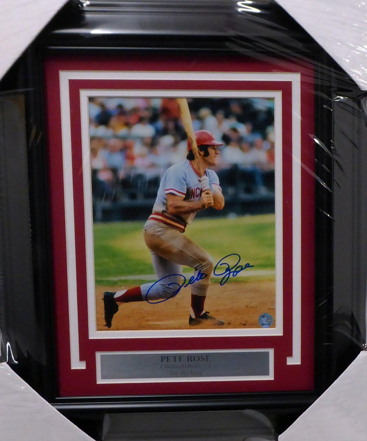 Pete Rose Autographed Framed 8x10 Photo Cincinnati Reds PR Holo Stock — RSA