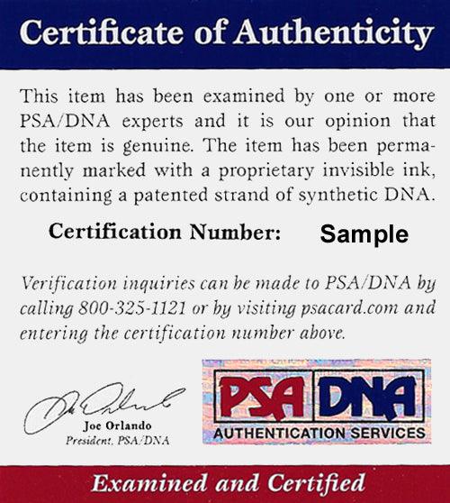 Stephen Piscotty Autographed 8x10 Photo St. Louis Cardinals PSA/DNA Stock #101383 - RSA